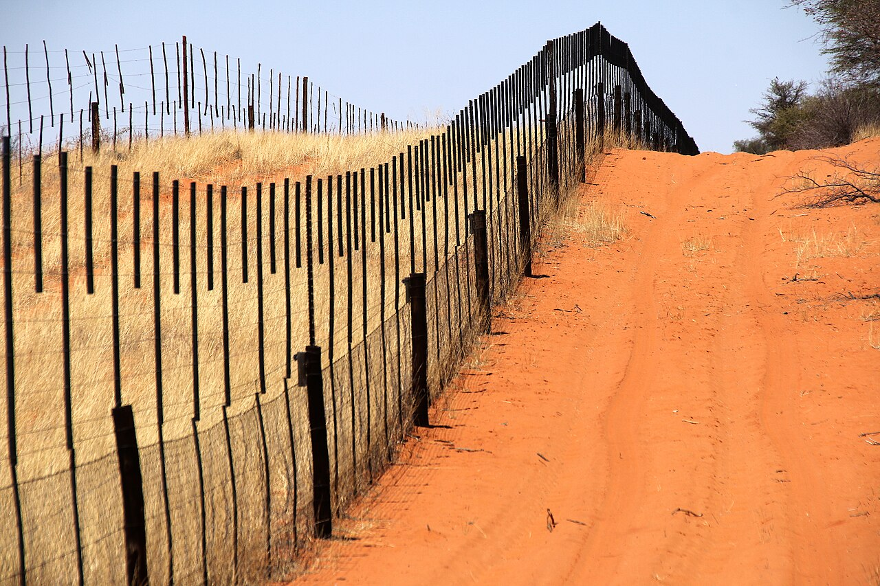 Wire and stakes extend across a dry landscape along the Namibia–Botswana boundary in 2018.